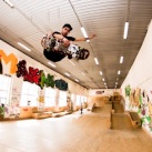 Skate Gang